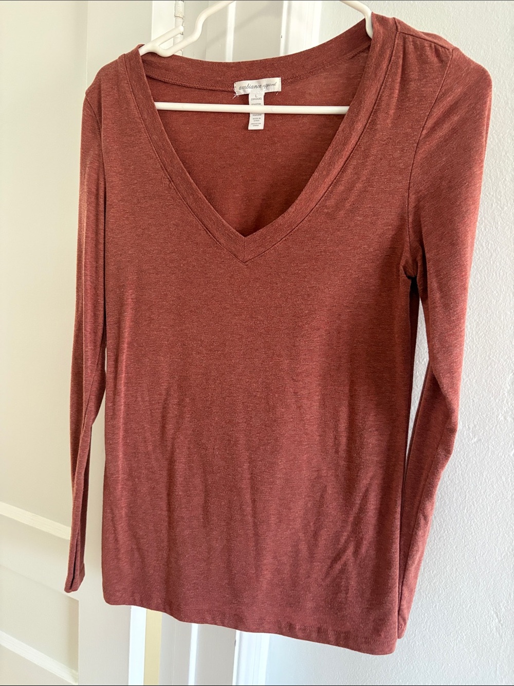 Ambiance Long Sleeve V-Neck Top - Rust